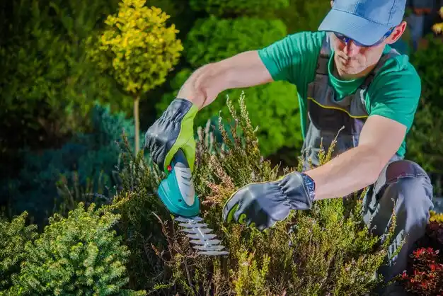 landscaping services Franklin